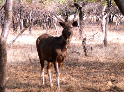 Südindien Rundreise