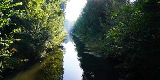 Ruhiger Flusslauf von grünen Bäumen umrahmt
