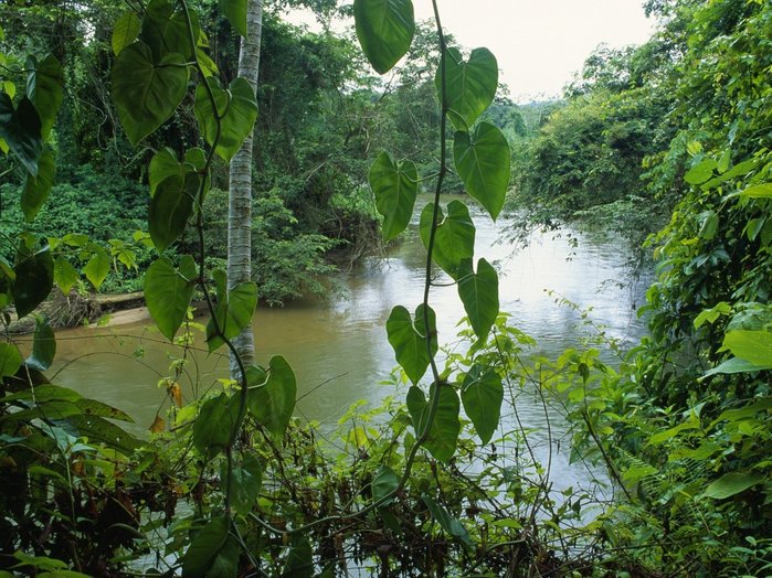 guatemala