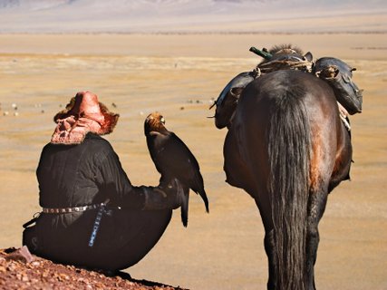 pferd und mongole von hinten in wüste