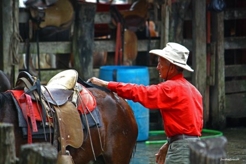 Costa Rica Rundreise 3 Wochen