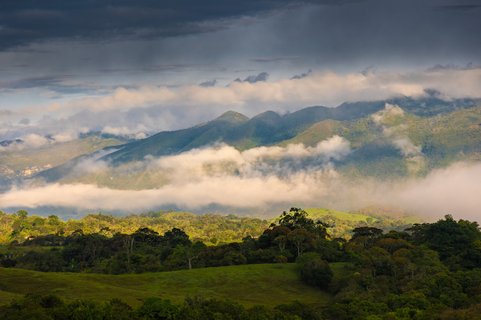 kolumbien gruppenreise - Landschaft im Nebe