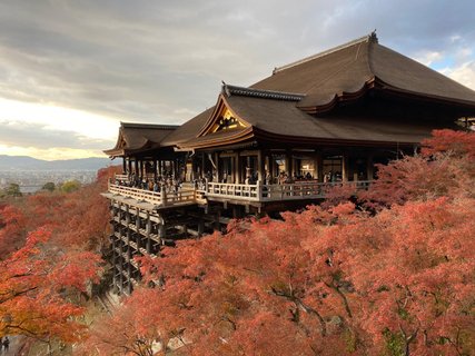 Japan Naturreise Tempelanlage im Herbst von roten Blättern an bäumen umgeben