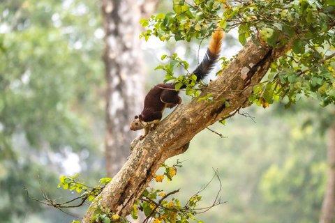 Südindien Rundreise