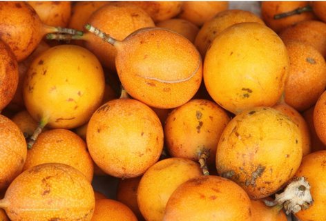 Orangen Costa rica