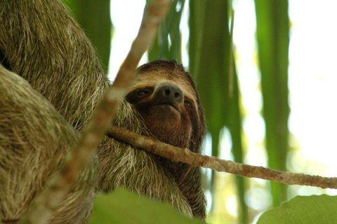 Costa Rica Rundreise 3 Wochen