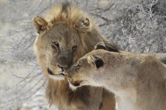 Reisen nach Namibia