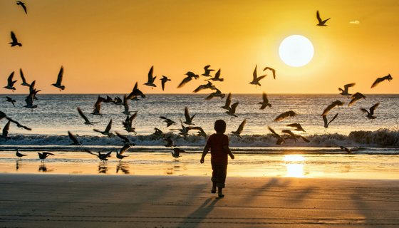 Nicaragua Rundreise - Kind und Vögel an Strand mit Sonnenuntergang