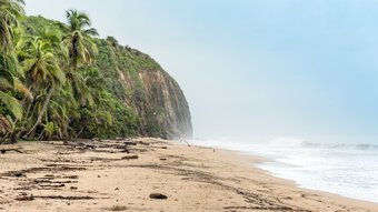 Menschenleerer Strand mit Palmen im Tayrona Nationalpark in Kolumbien