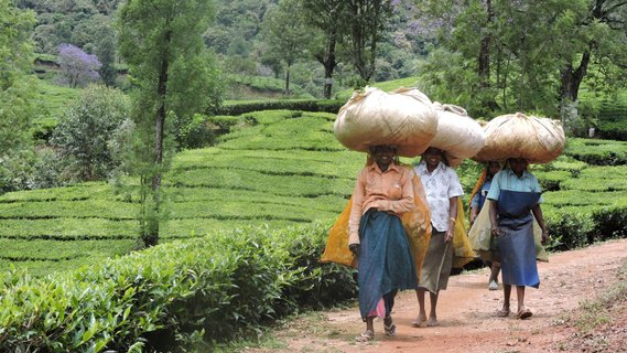 Südindien Rundreise - drei einheimische Fraue
