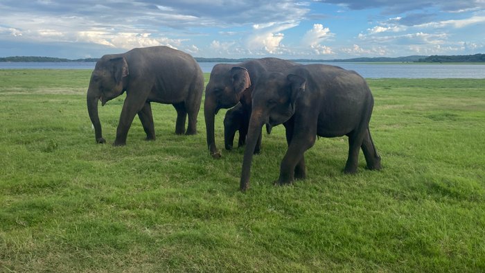 Sri Lanka reisebericht
