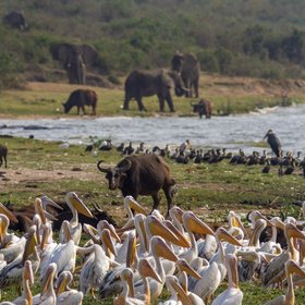 Uganda Reise Review