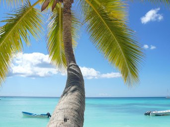 Palme vor türkisblauem Meer und zwei Boote im Wasser