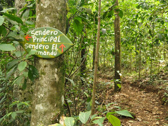 Wanderweg in la Tigra
