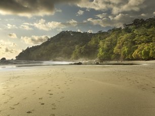 Sonnenuntergang am Strand, goldenes Licht und Dschungel