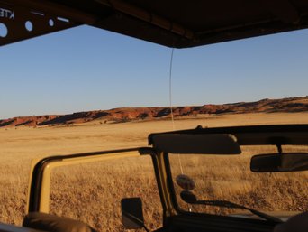 Tiere in Namibia: Blick aus einem offenen Jeep 
