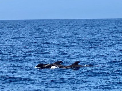 Costa Rica Familienreise