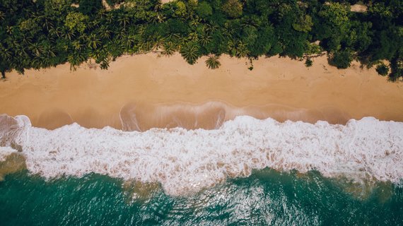 panama gruppenreise - Strand mit Palmen