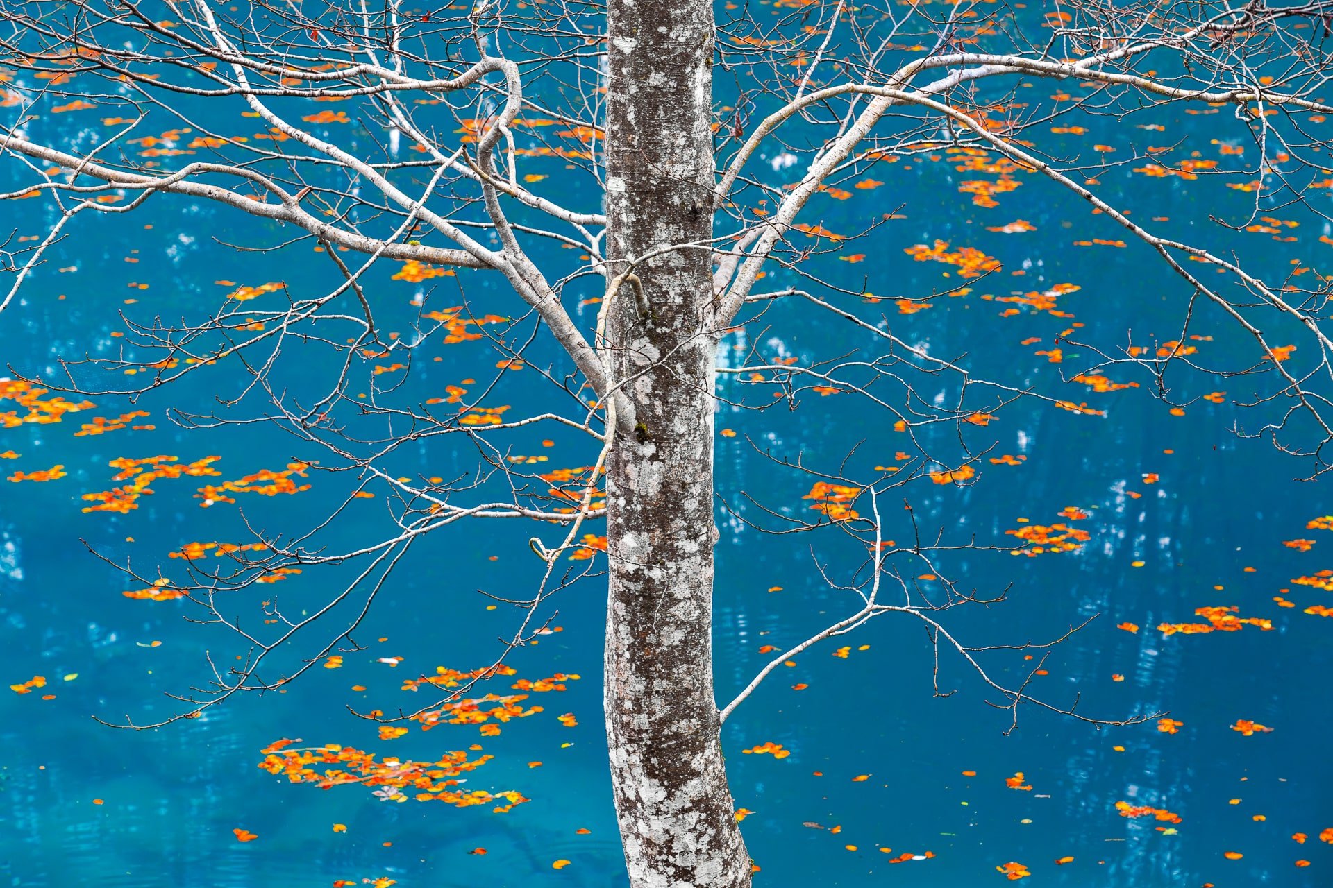 Fotoreisen mit Johannes Kowalewski