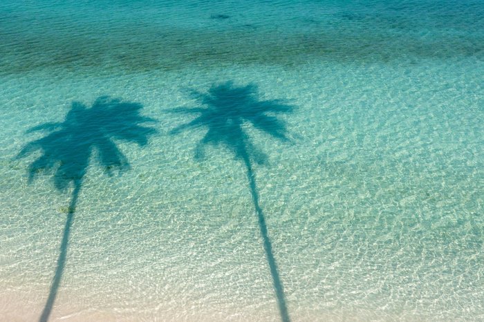 Schatten von Palmen im türkisfarbenen Wasser auf Corn Island