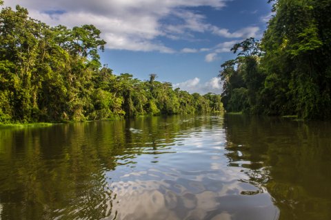 Costa Rica Rundreise 2 Wochen - ruhiger Fluss mit dichtem Dschungel am Ufer