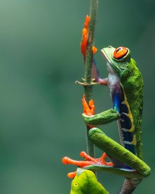 Costa Rica Fotoreise