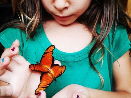 Costa Rica Familienreise - Mädchen mit Schmetterling