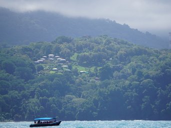 Boot auf dem Meer und Blick auf die Küste mit Regenwald