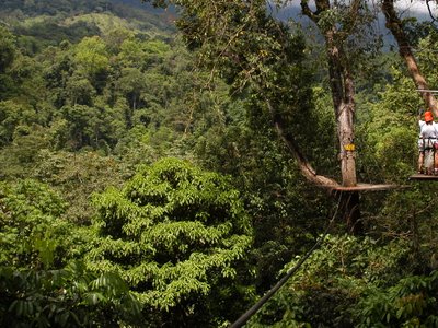 Menschen auf einer Canopy Plattform im Regenwald von Monteverde.