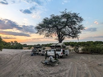 Zwei Toyota Hilux (Geländewagen) stehen unter einer Akazie. Auf ihnen sind Dachzelte aufgebaut