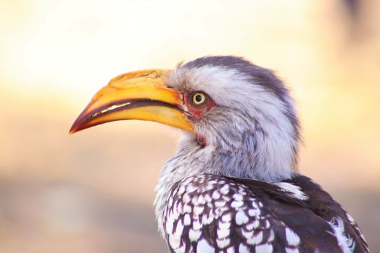 Namibia 2 Wochen Rundreise