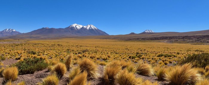 Anden Landschaft - Chile beste Reisezeit