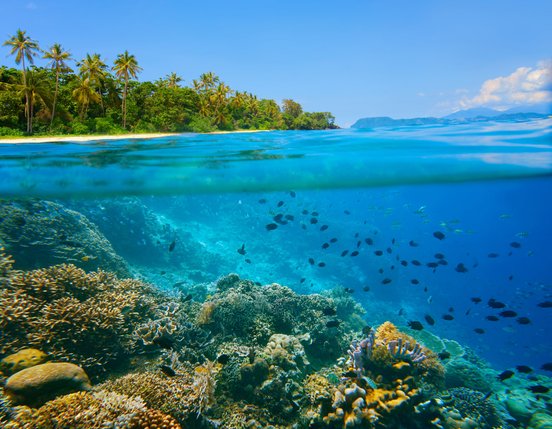 Buntes Korallenriff halb Unter- halb Überwasser fotografiert