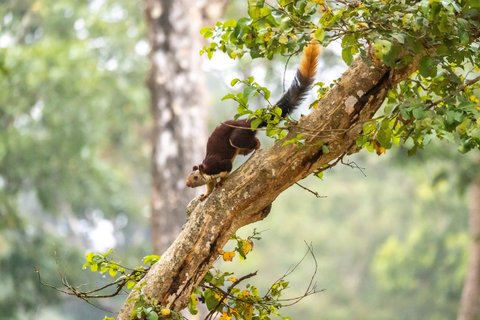 Südindien Rundreise