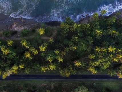 Costa Rica Roadtrip - Küste mit Palmen von oben