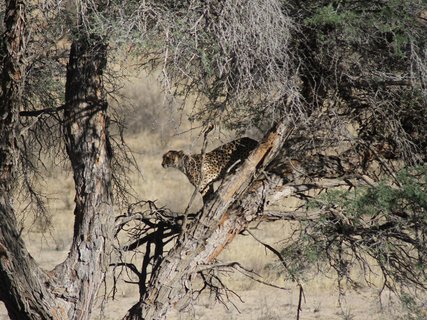 Namibia 2 Wochen Rundreise