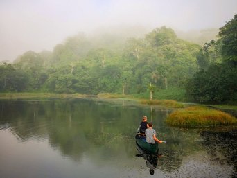 Zwei Menschen fahren im Kanu auf einem See eim Regenwald