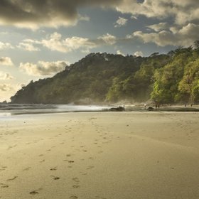 Sonnenuntergang am Strand, goldenes Licht und Dschungel
