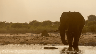 Urlaub Botswana