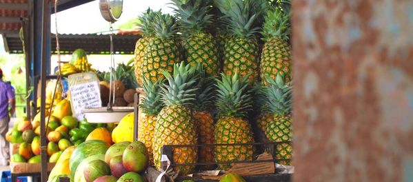 panama in 1 woche - Obststand