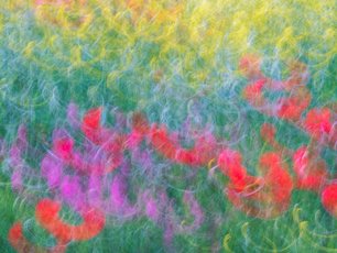 Anstrakte Fotografie mit bunten Blumen