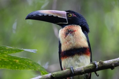 Erlebnisreisen Tierbeobachtung