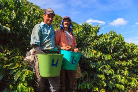 Kaffee Farm - Kolumbien Rundreise 2 Wochen