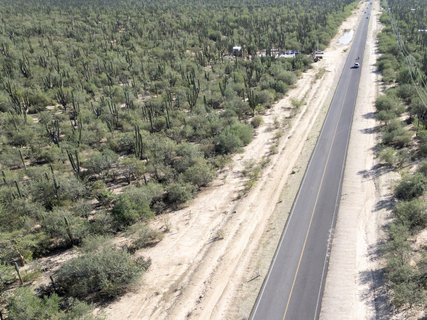 ????????????????????????????????????????????????????????????????????????????? baja california sur mexico aerial view of cactus forest near the sea panorama
