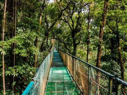 Costa Rica Privatreise Hängebrücken