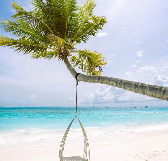 Hängestuhl an einer Palme am Strand