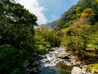 Wilder Flusslauf in Panama