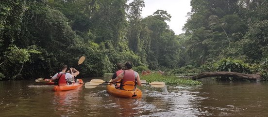 Kayaktour in Tortuguero, Costa Rica