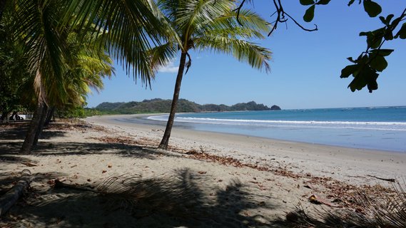 costa rica shuttle - ruhiger Sandstrand und Palmen