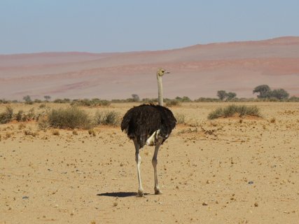 Namibia 2 Wochen Rundreise